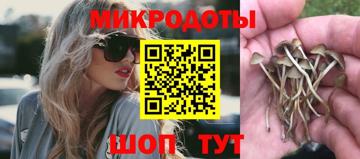 Галлюциногенные грибы MAGIC MUSHROOMS  Вход с VPN  Берёзовский 